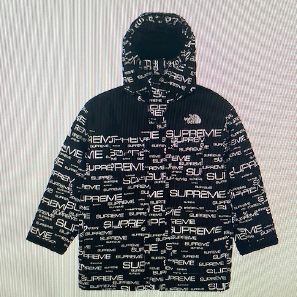 New Supreme North face 700 fill down parka